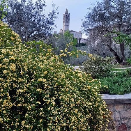 La Casa Di Famiglia Apartment Assisi Luaran gambar