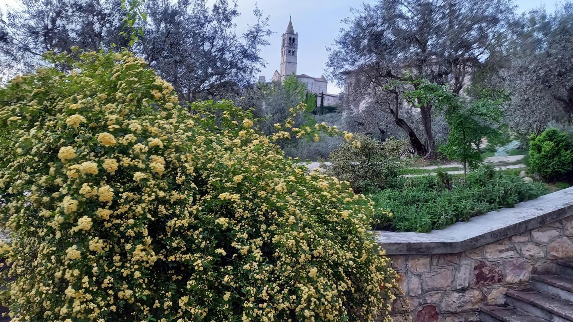 La Casa Di Famiglia Apartment Assisi Luaran gambar